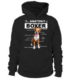 ANATOMY BOXER DOG