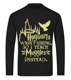 hogwarts wasn't hiring so i teach muggles instead