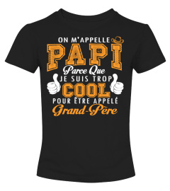 ON M'APPELLE PAPI JE SUIS TROP COOL POUR ETRE APPELEE GRAND-MERE T-SHIRT