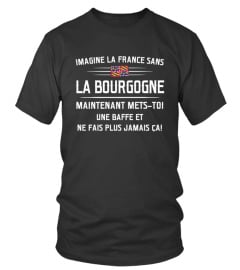 FRance sans la Bourgogne