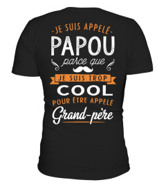 PAPOU TROP COOL POUR APPELÉ GRAND-PÈRE