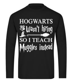 I teach muggles instead