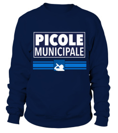 PICOLE MUNICIPALE 2