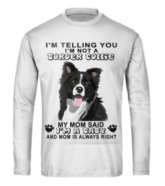 Border Collie Shirt I'm A Baby