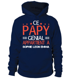 CE PAPY GÉNIAL APPARTIENT A TSHIRT PERSONNALISÉ