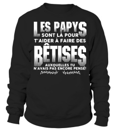 LES PAPYS SONT LA POUR TAIDER A FAIRE DES BETISES AUXQUELLES TU N'AVAIS PAS ENCORE PENSE T-shirt