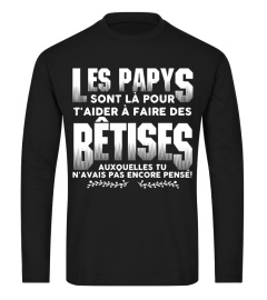 LES PAPYS SONT LA POUR TAIDER A FAIRE DES BETISES AUXQUELLES TU N'AVAIS PAS ENCORE PENSE T-shirt