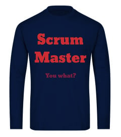 Scrum Master