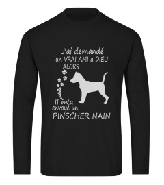 Pinscher nain- Limited Edition