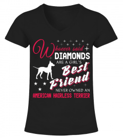 American Hairless Terrier lover cute t-shirt