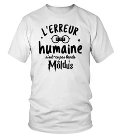 L'ERREUR EST HUMAINE BANDE DE MOLDUS! - HARRY POTTER VERSION N°2