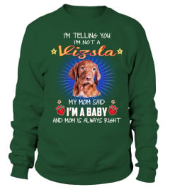 My Mom Said A Vizsla Baby