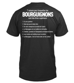 7 raisons Bourguignon