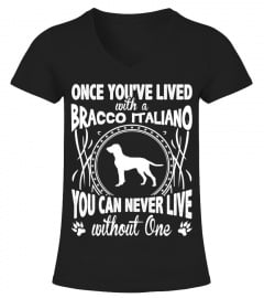 Bracco Italiano - Funny T-Shirt