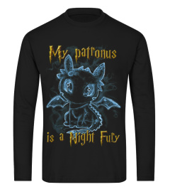 MY PATRONUS IS A NIGHT FURY