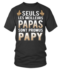 SEULS LES MEILLEURS PAPAS SONT PROMUS PAPY