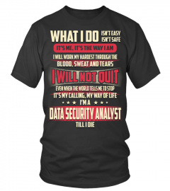 Data Security Analyst - What I Do