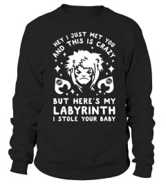 I JUST MET YOU AND THIS IS CRAZY BUT HERE'S MY LABYRINTH I STOLE YOUR BABY T SHIRT