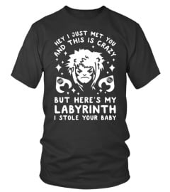 I JUST MET YOU AND THIS IS CRAZY BUT HERE'S MY LABYRINTH I STOLE YOUR BABY T SHIRT