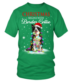 BORDER COLLIE DOG