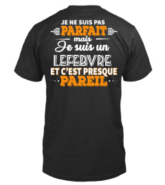 JE NE SUIS PAS PARFAIT MAIS JE SUIS UN *NOM DE FAMILLE* - EDITABLE