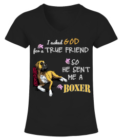 I Asked God Boxer Dog