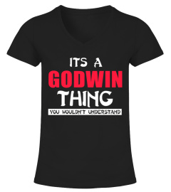 GODWIN   It's GODWIN thing You Wouldn't Understand