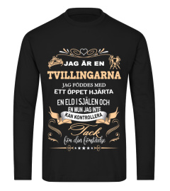 TVILLINGARNA