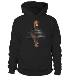 Chesapeake Bay Retriever