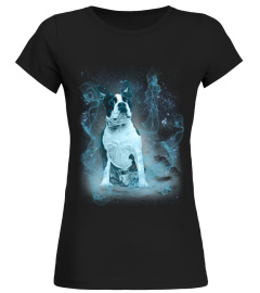 Boston Terrier