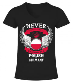 The Power Of A Polish In Germany