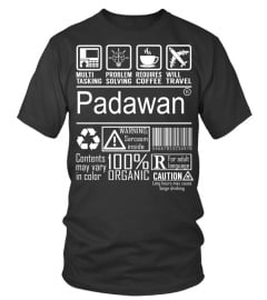 Padawan - Multitasking