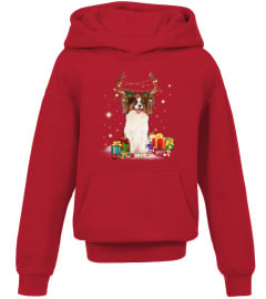 Papillon Dog Christmas