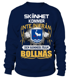 Bollnäs, Sverige