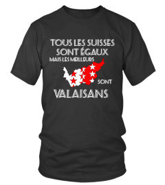 LE VALAIS EN PUISSANCE