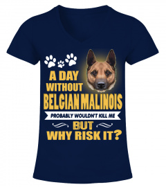 A Day Without Belgian Malinois Dog