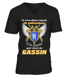 GASSIN