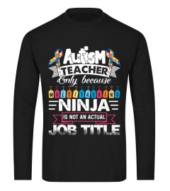 Autism Teacher Only Because Multitasking Ninja Not An Actual Job Title