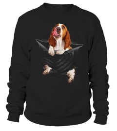 Basset Hound Scratch