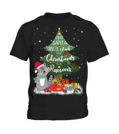 All I Want For Christmas Is A Raccoon T Shirt