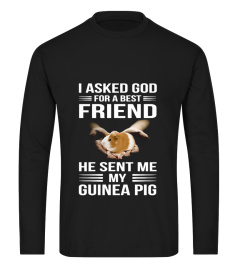 I Asked God Guinea Pig Shirt