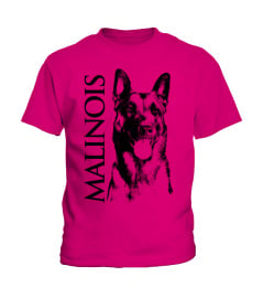 Malinois