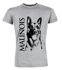 Malinois