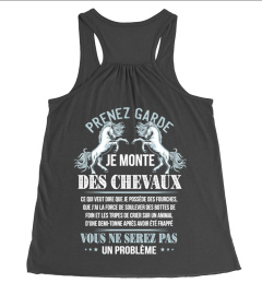 Prenez garde je monte des chevaux