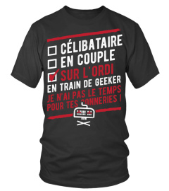 Célibataire en couple sur l'ordi en train de geeker