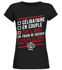 Célibataire en couple sur l'ordi en train de geeker