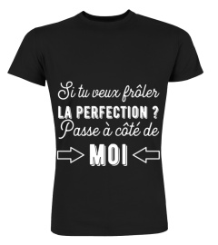 perfection t-shirt humour cadeau