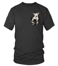 Bull Terrier In Pocket