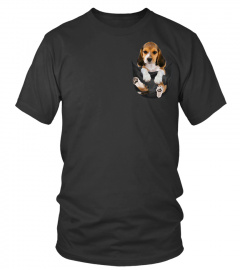 Beagle in pocket scratch shirt funny
