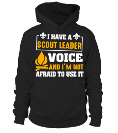 I Have A Scout Leader Voice